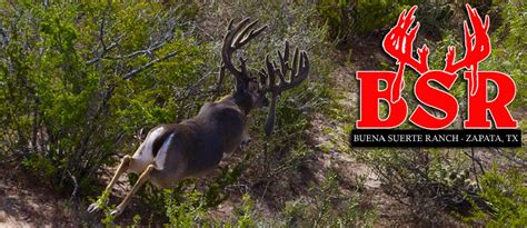 (BSR) Buena Suerte Ranch .